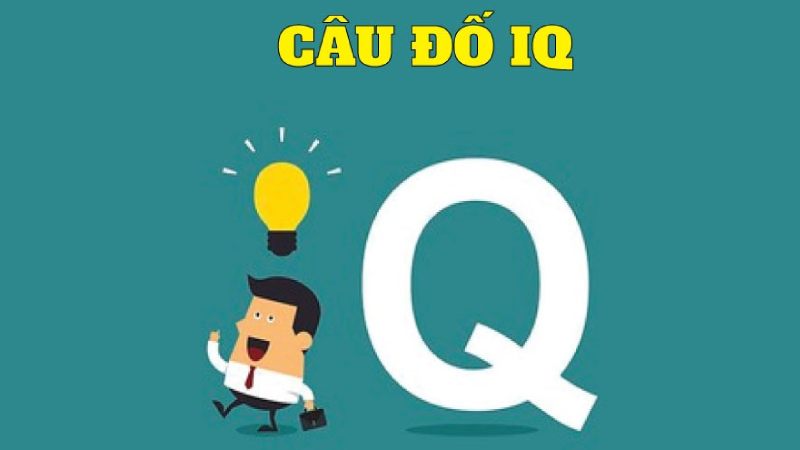 câu đố iq