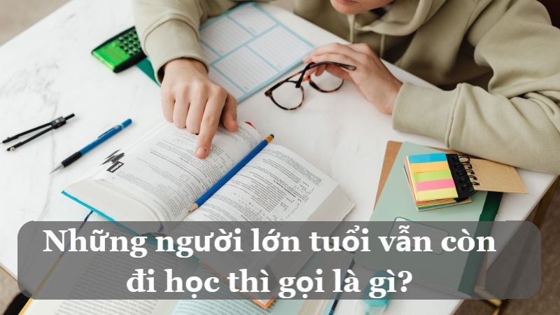 câu đố về ngày 20-11