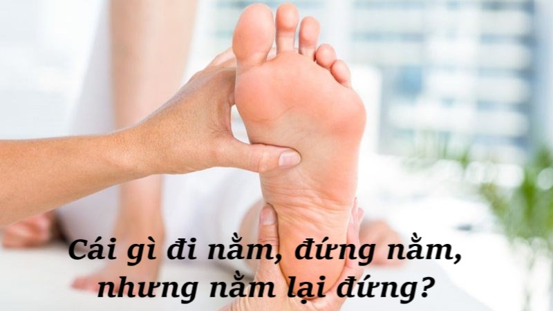 câu đố vui cho bé 7 tuổi